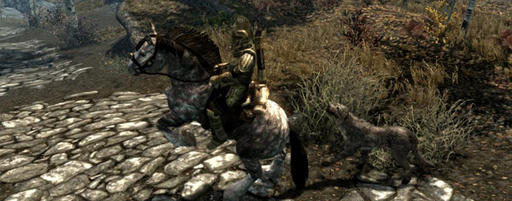 Elder Scrolls V: Skyrim, The - The Elder Strolls, часть 10: «Конь блед»